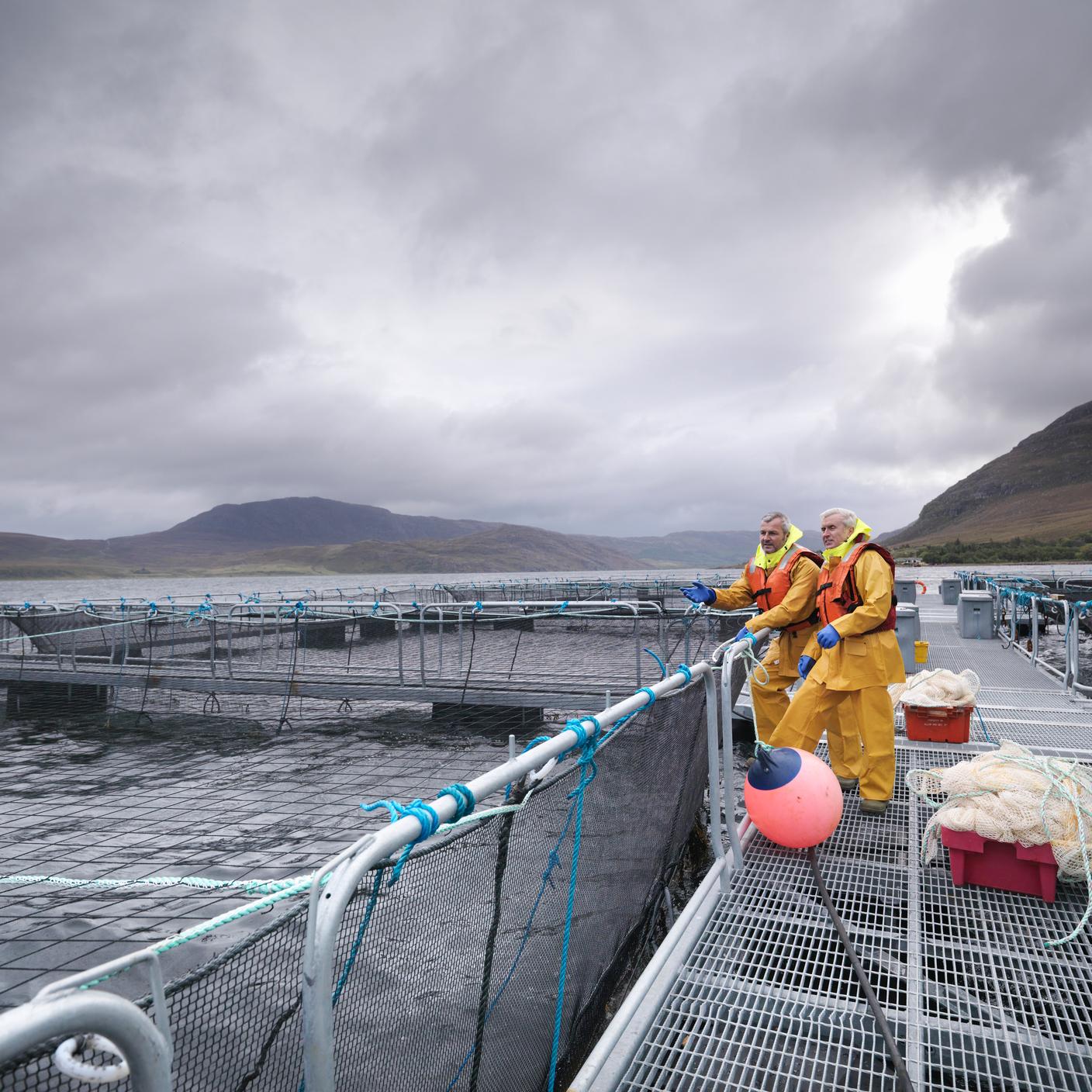  two men working on a sea loch