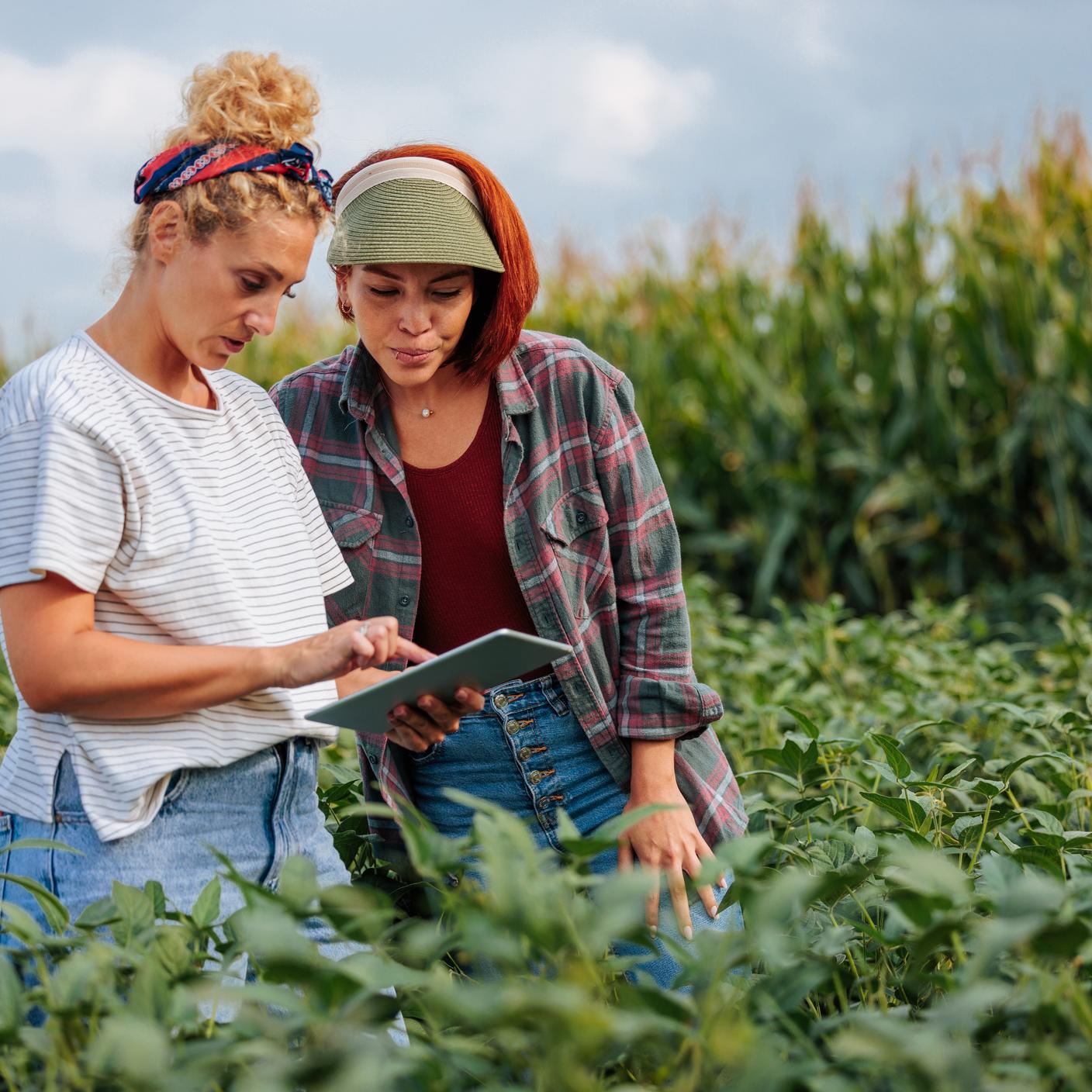 Two people next to greenery