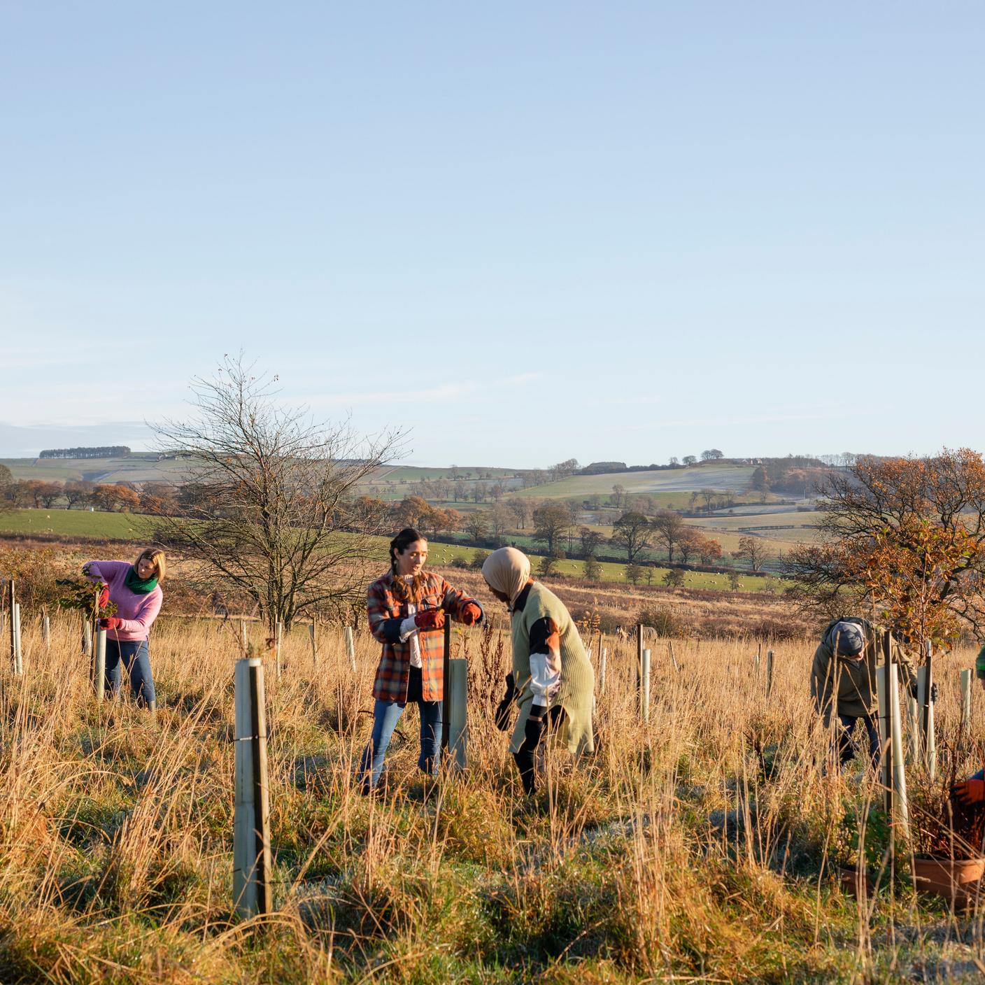 Une ferme communautaire, plantation d’arbres et autres tâches durables et respectueuses de l’environnement.