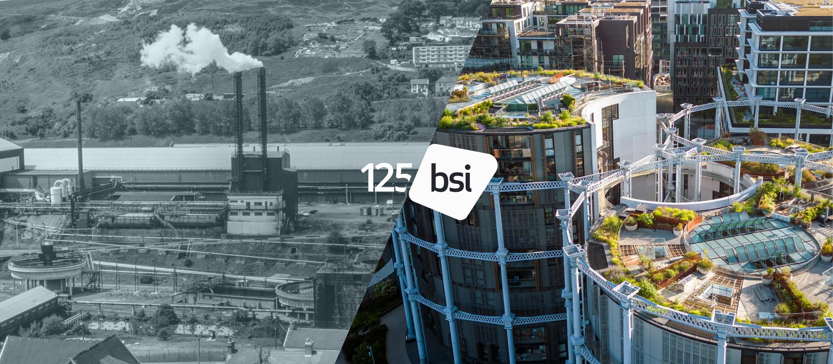 Cross section view of old and new Battersea Park, with a BSI 125 Logo