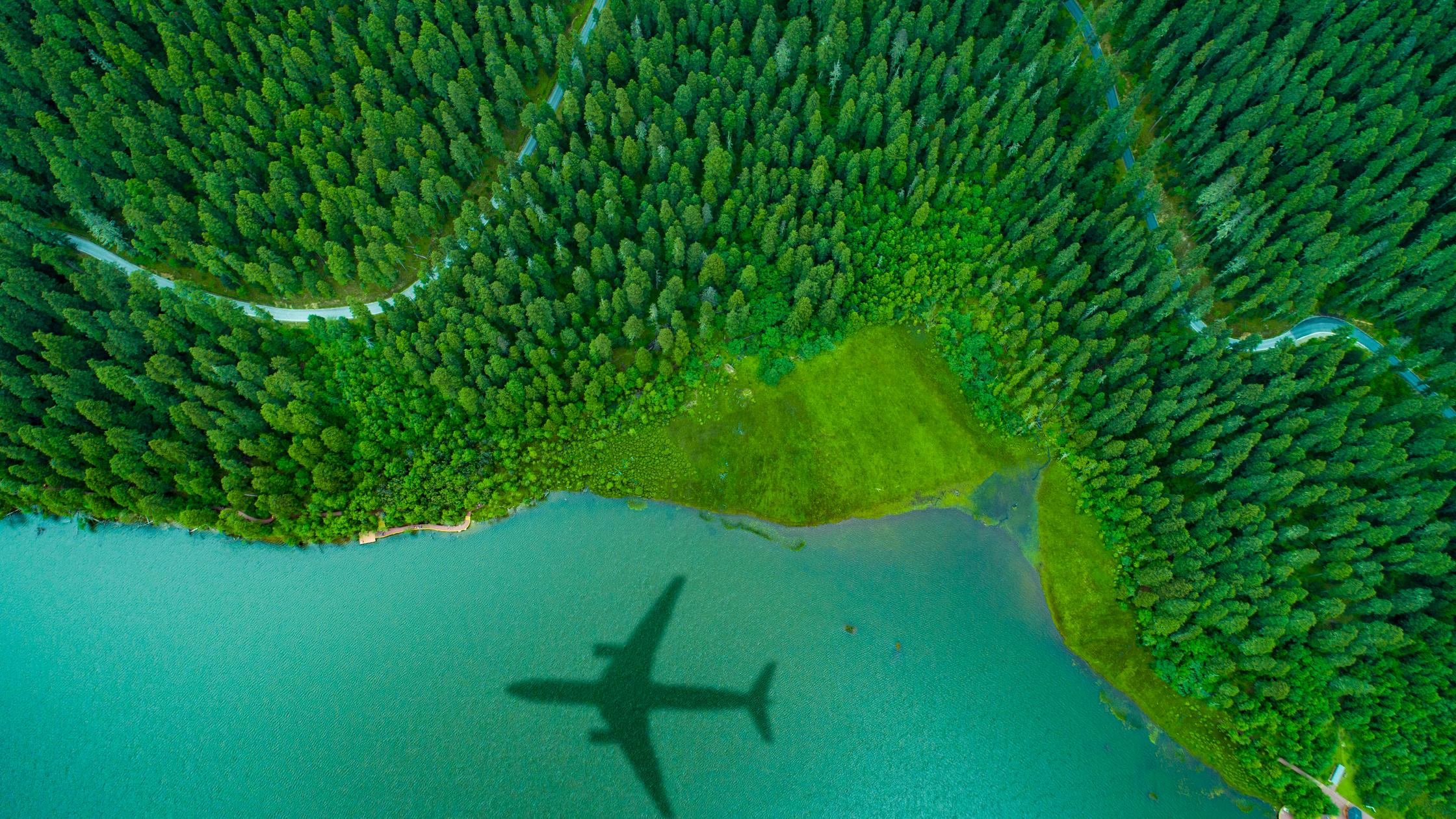 future flight vocabulary