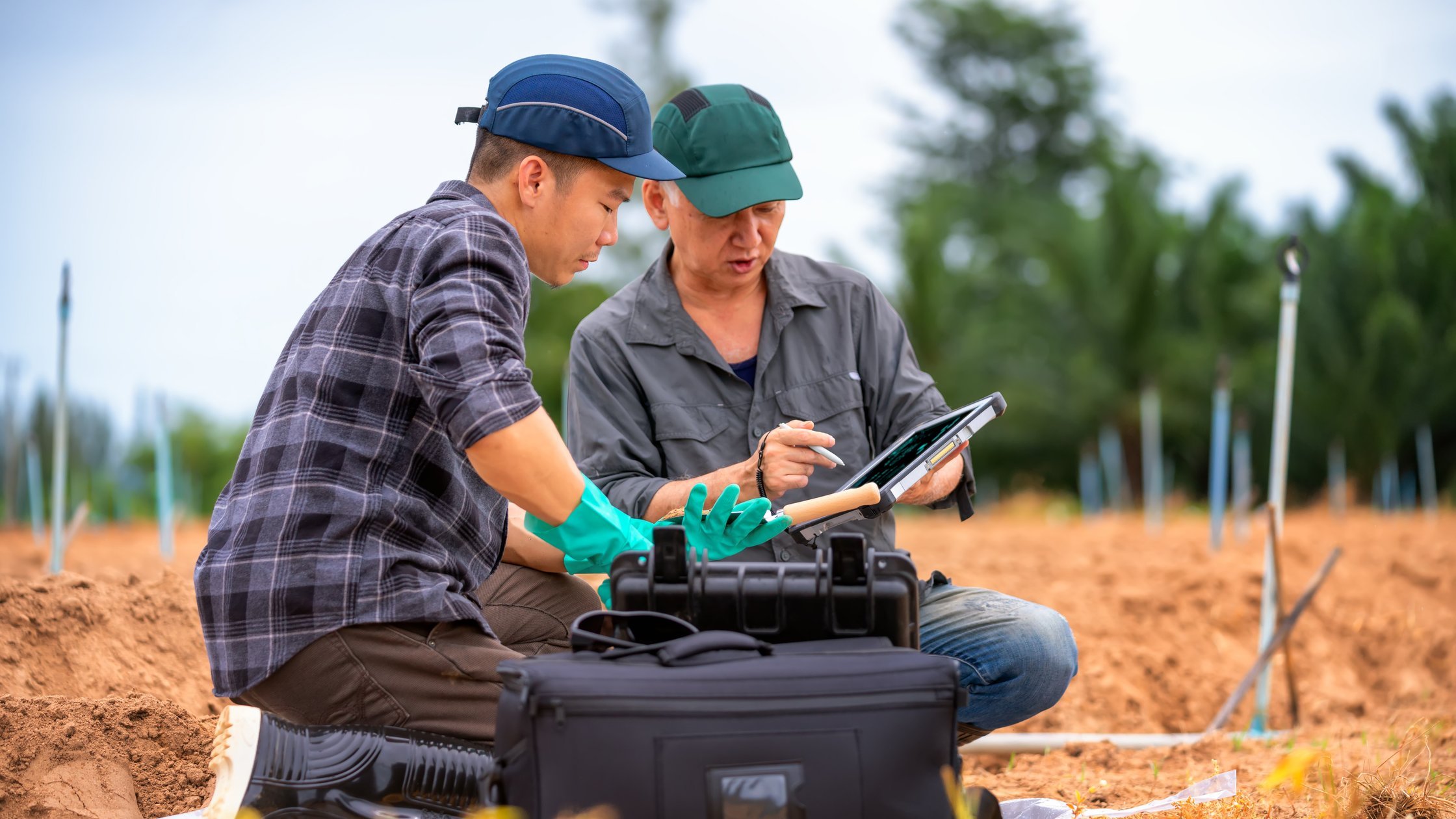 People in a field using a laptop