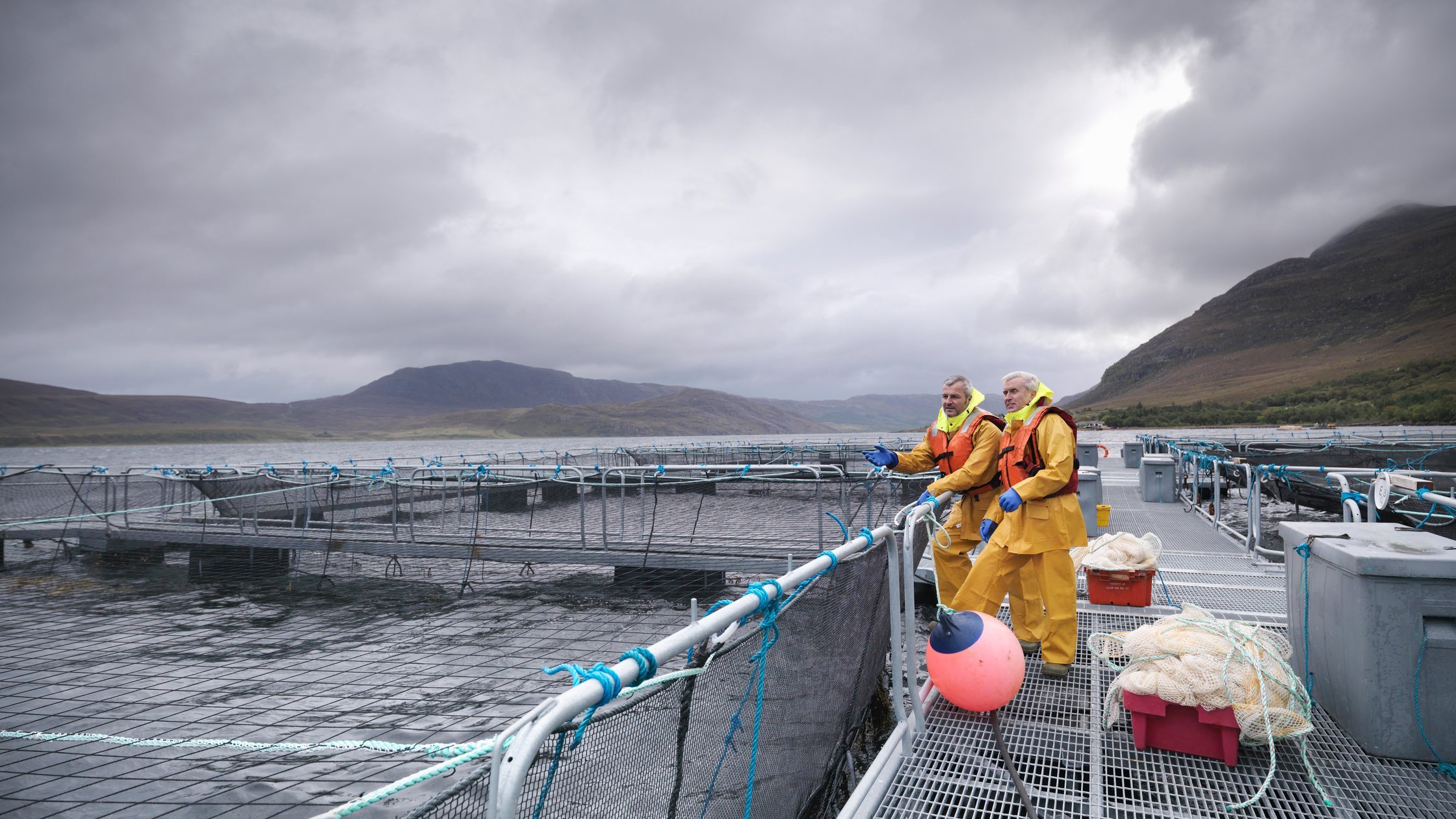 Site settings placeholder