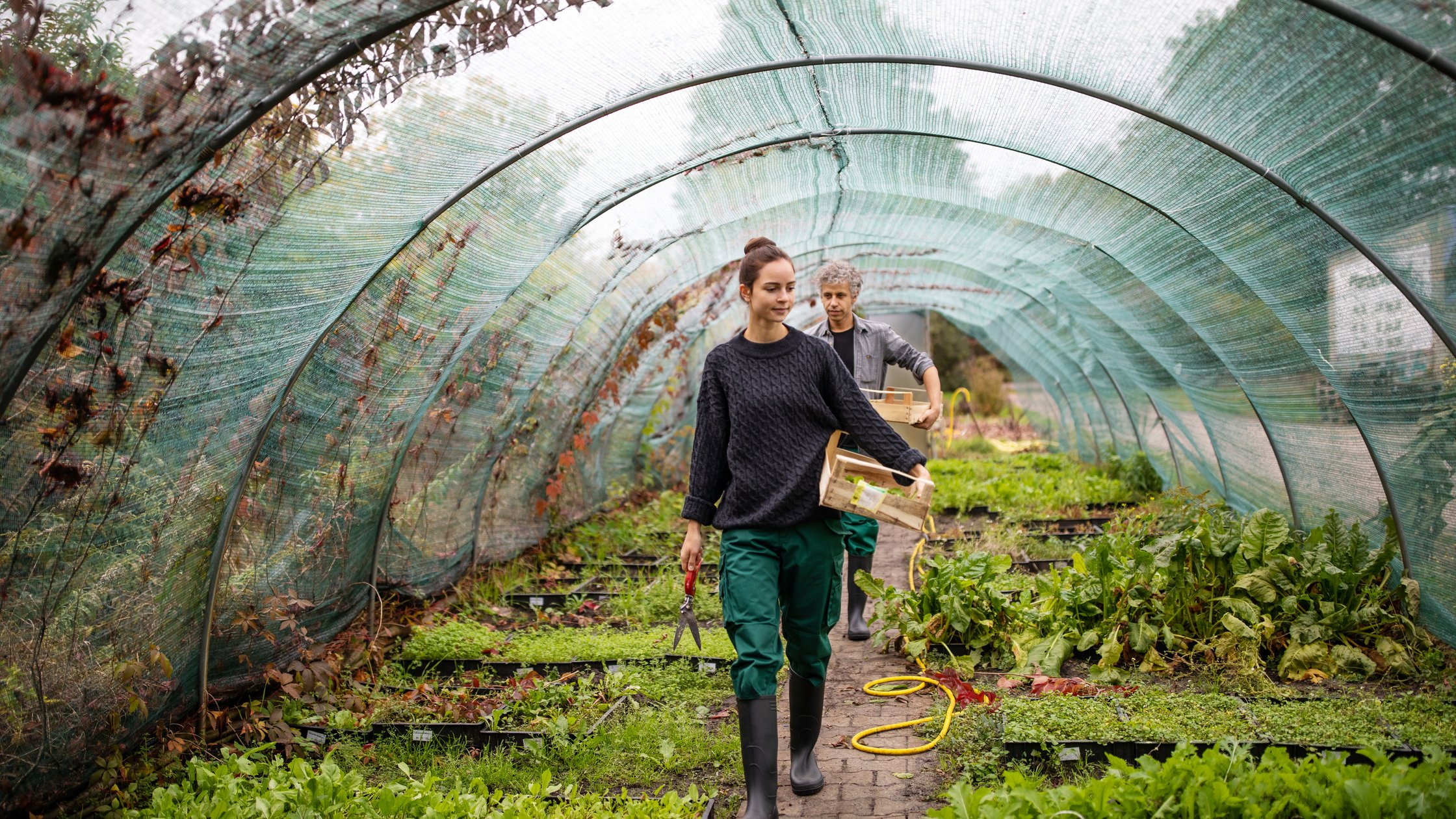 Female and male gardeners with wooden boxes walking in greenhouse discussing sustainability consulting. Two workers working in garden center.