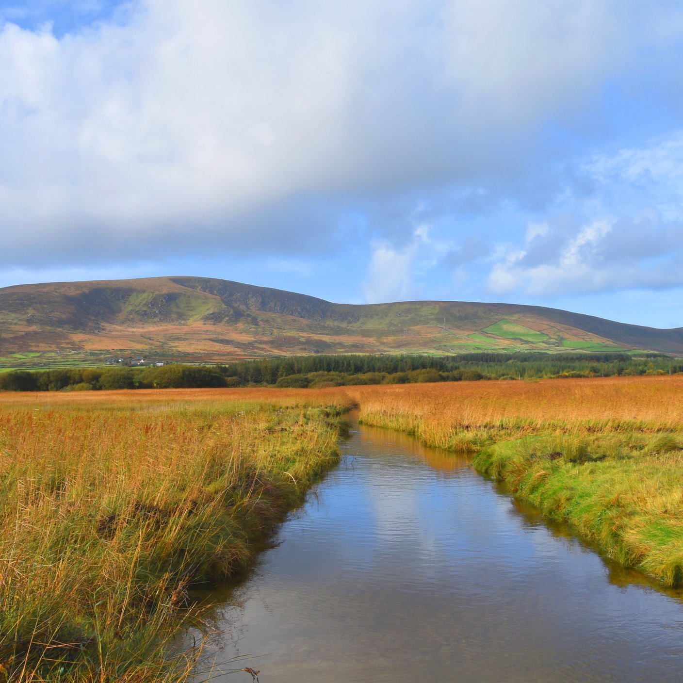 Ditch in a field